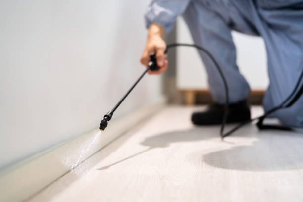 Licensed Rodent Control service in Virginia, VA - Nex Pest Control